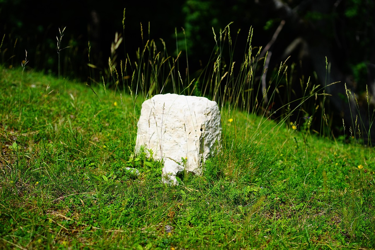 découvrez le concept du point mort (break-even point) et apprenez à déterminer le seuil de rentabilité de votre entreprise pour mieux gérer vos finances.