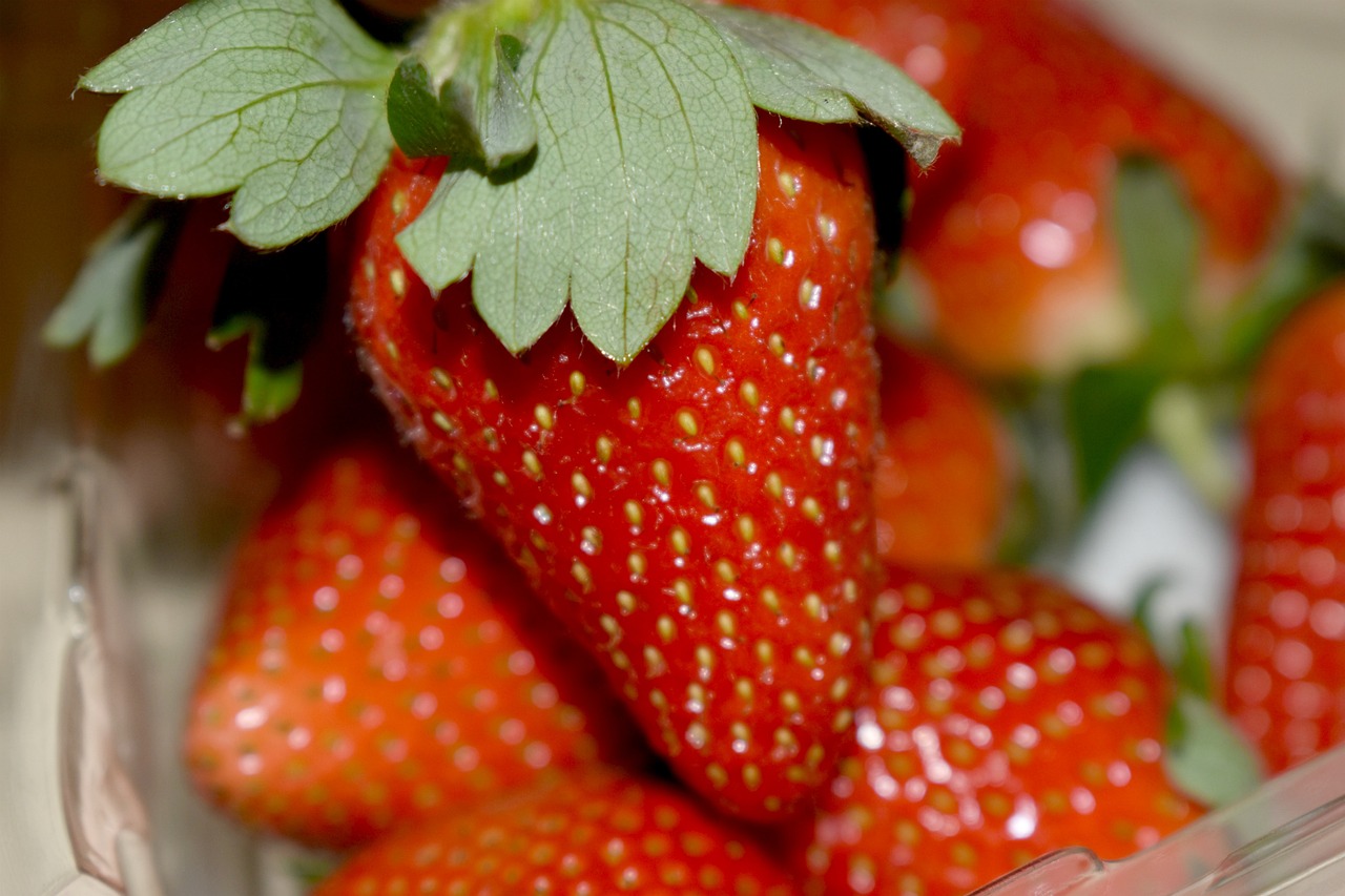 Les principaux avantages de l’externalisation des services pour les entreprises en 2025 découvrez les avantages de l'externalisation pour améliorer l'efficacité, réduire les coûts et se concentrer sur le cœur de votre activité.