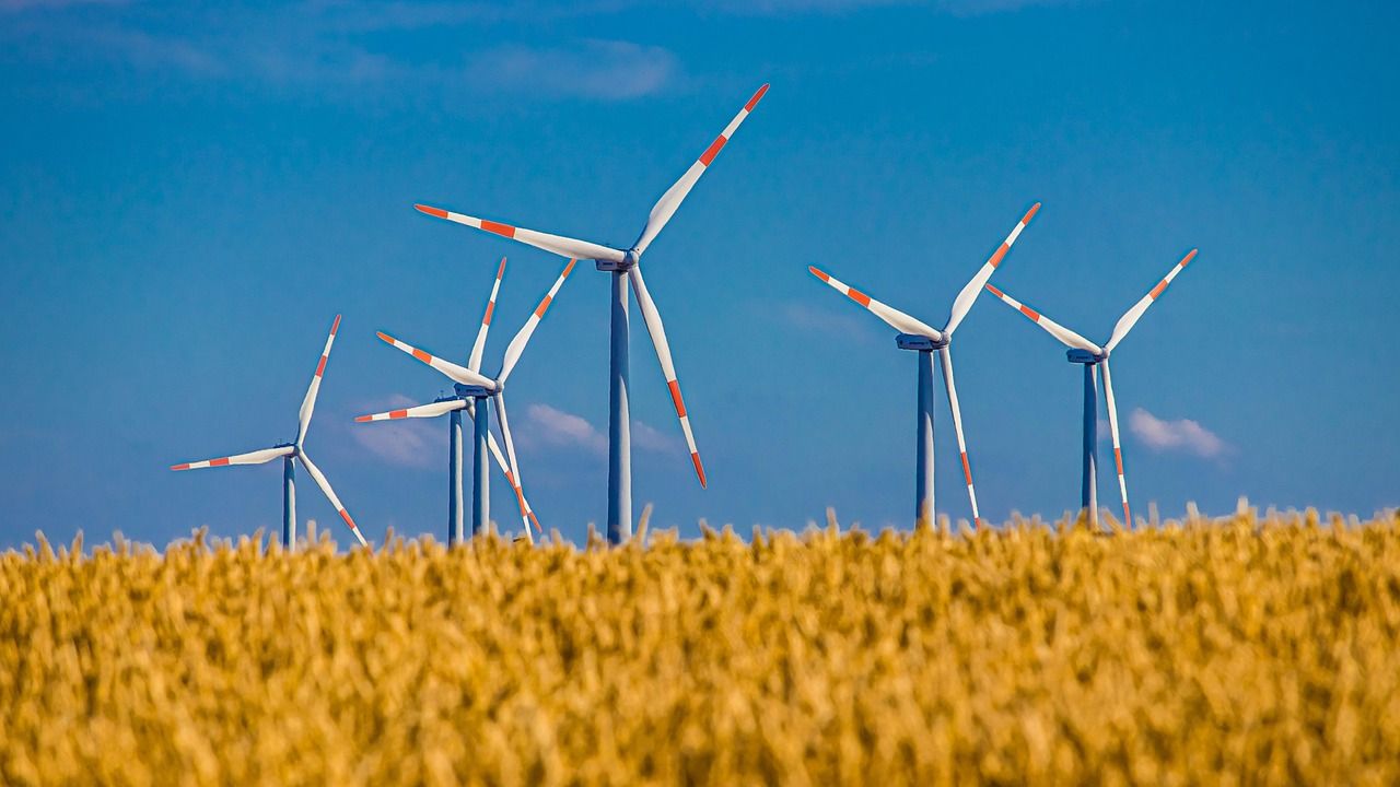 Comment se différencier durablement de ses concurrents sur un marché saturé ? découvrez comment la différenciation durable permet aux entreprises de se démarquer tout en respectant l'environnement et en créant une valeur à long terme.