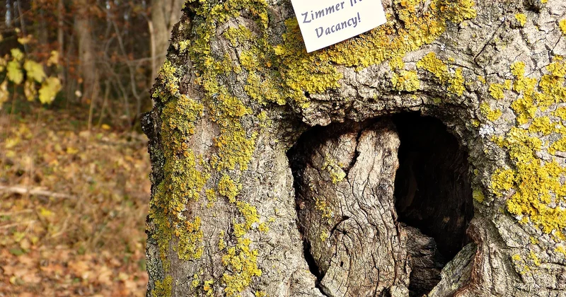 Biens communs, biens propres : comment trier sans se tromper