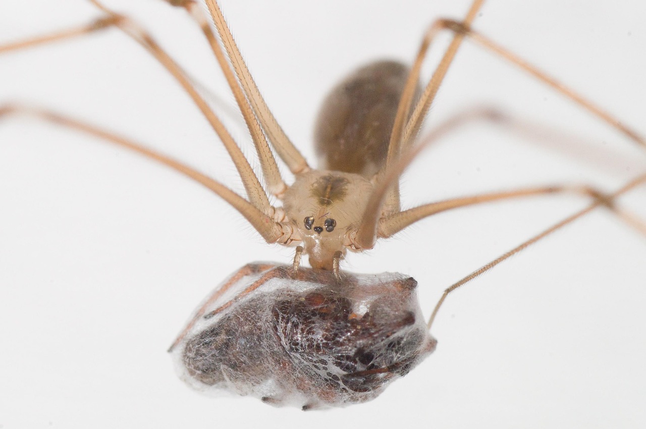 Quels sont les sacrifices nécessaires pour devenir un entrepreneur accompli ? découvrez les sacrifices essentiels pour réussir en entrepreneuriat et comment les surmonter pour atteindre le succès.